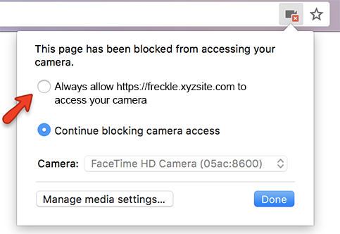 The message reads: 'This page has been blocked from accessing your camera.' Two options are presented: to always allow Freckle to access the camera, or to continue blocking the camera access. The Done button is in the lower-right corner.